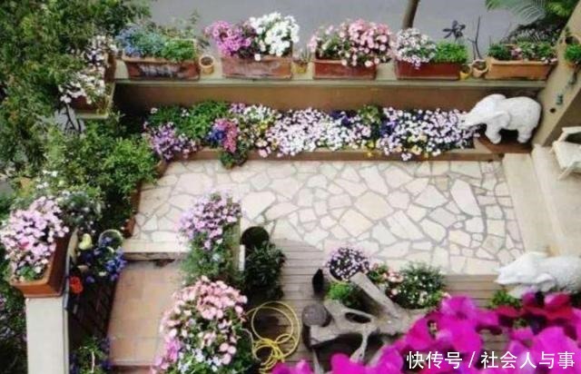 5种好养的花，栽到院子里，花期开成花海！