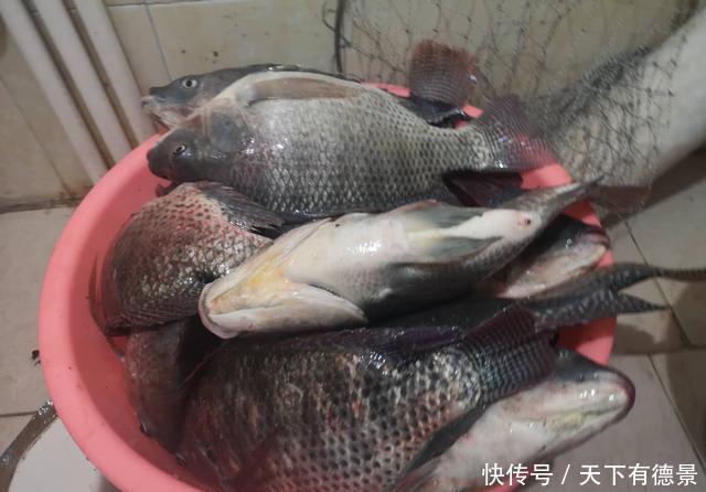 黑坑老板有这几种行为以后别再去,妥妥的坑你没商量