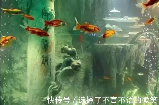 玉石@3.8吨玉石5年, 男子做了个鱼缸, 至今没一个专家敢估算