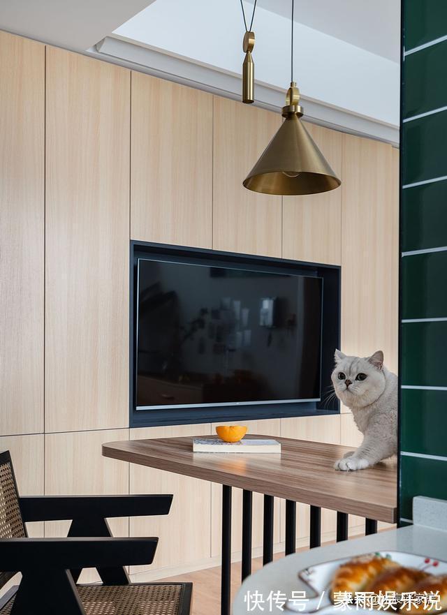 沐宸|她一人独居56㎡小宅,全屋温馨自然,与小猫相伴,生活幸福美满