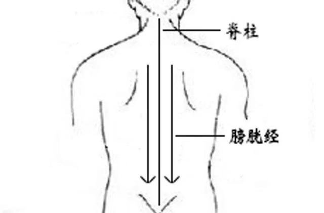 阳气|今日毒五月第一天，9个症状看你是否中毒