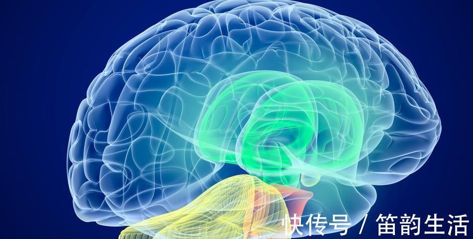 11个冷知识：或许没有机会使用，但能让人博学的奇怪知识