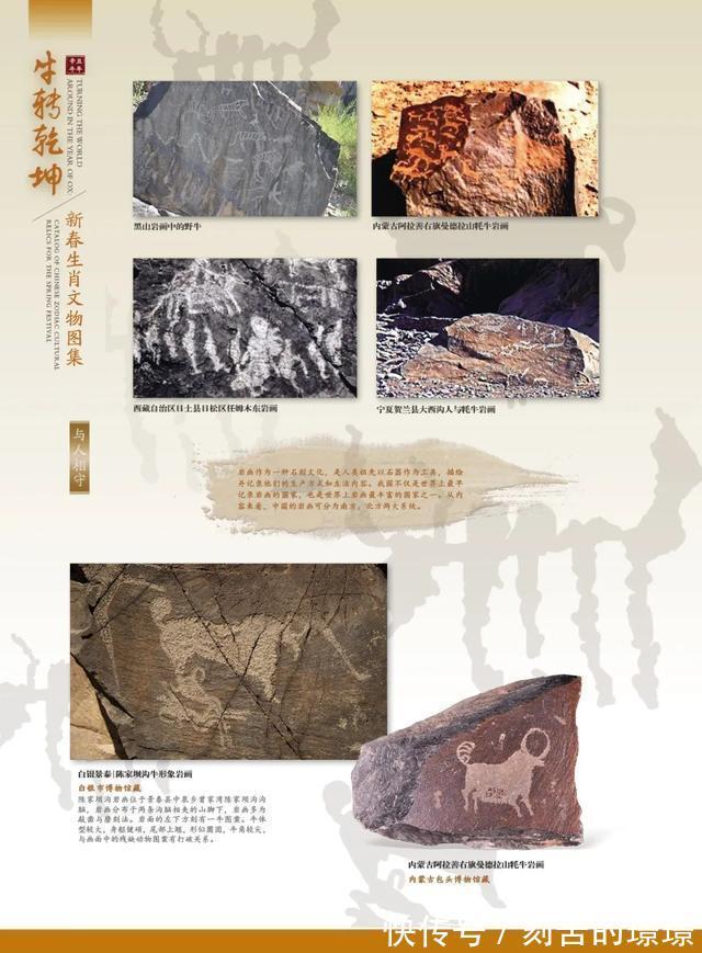 生肖|“牛转乾坤”辛丑牛年新春生肖文物图片联展