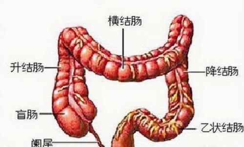 大便|痔疮和肠癌傻傻分不清，中年男子查出肠癌，大便早已“提醒”