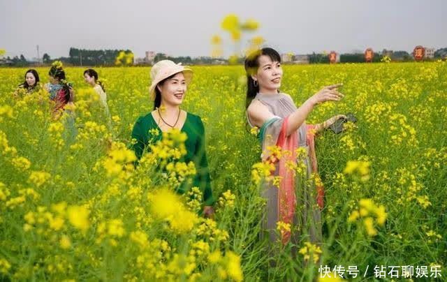 三月|花样荷城,美不胜收!