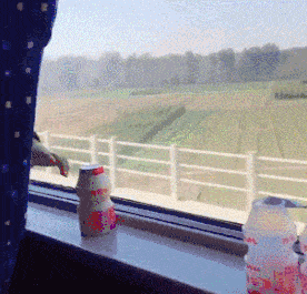 |搞笑GIF：笑死宝宝了，驾驶证买的吗？