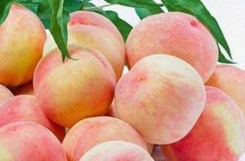 水果|以下3种水果坚持吃,养颜排毒、延缓衰老速度,不妨试试!