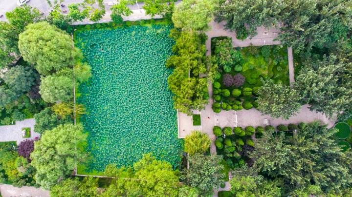 大明湖|芳容初现！云锦湖与小清河隔路相望，成为济南北部的一颗“明珠”