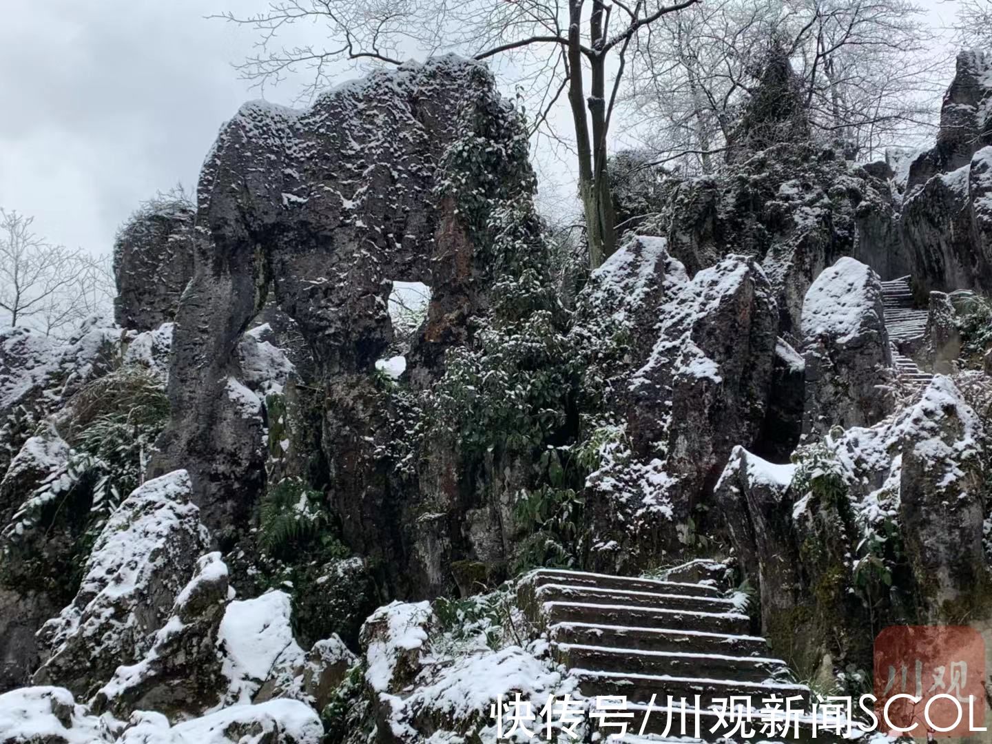 沙湾区|乐山沙湾区美女峰迎来第一场雪