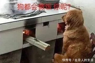 阳台上|洗衣机放厨房、阳台、卫生间哪个地方好,看完才知道放这里好
