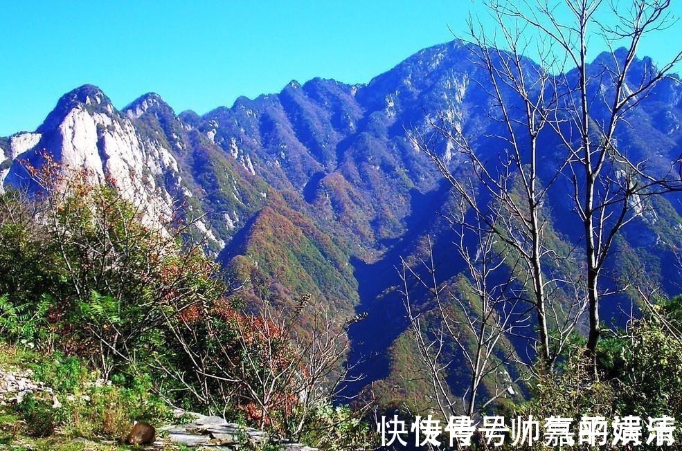 李白！唐代浪漫主义诗人李白，有一首《下终南山过斛斯山人宿置酒》，今天我们来欣赏一下