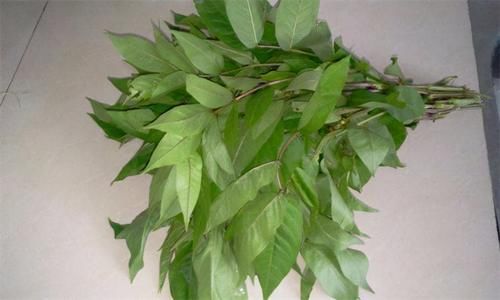  增加|冬天养生得会吃，3种食物少不了，宽肠通便增加食欲，早吃早好！