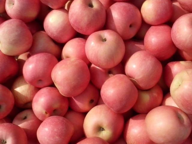 孕妈|女人怀孕后,4种食物生活中多吃一点,或能够帮助胎儿健康发育