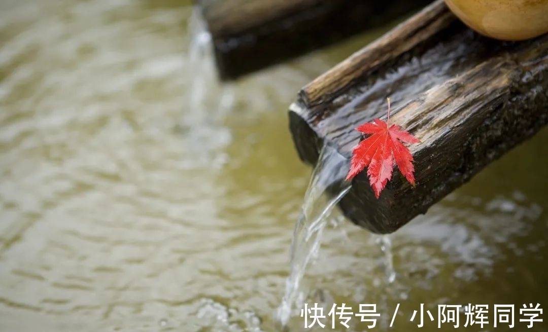 秋风清|秋日，许一份心安然