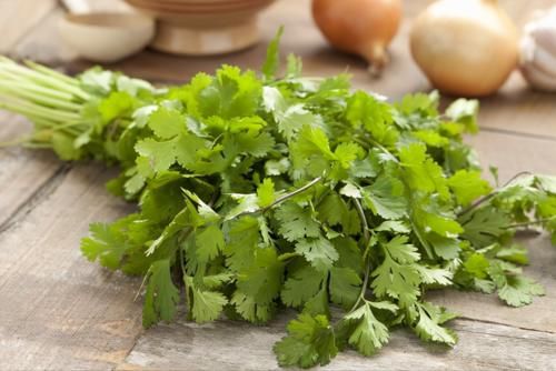 袋子|香菜放进袋子里,保存一年没问题,颜色翠绿不发黄,新鲜不变味