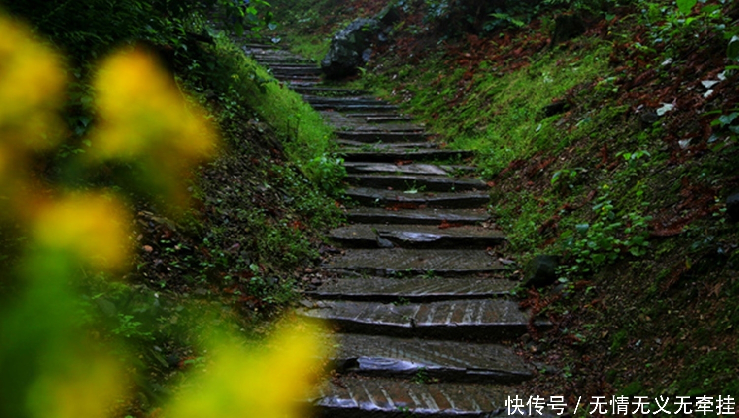 石台大山村旅游景点攻略推荐，这里被称为“中国富硒第一村”