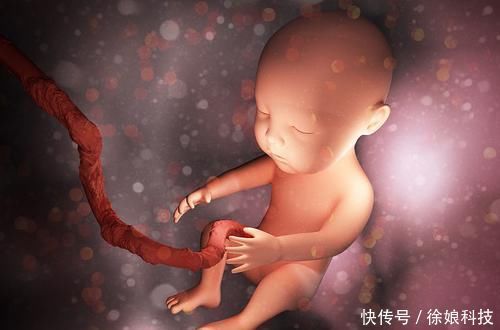 池川明|胎儿有宫内记忆？爸爸：4岁儿子的话让我流泪，早知应更重视胎教