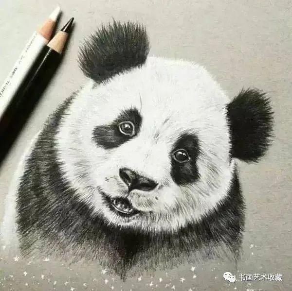  美女|一匹马画了16年！美女学渣逆袭成功，坚持下来很酷！