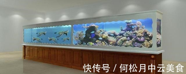 鱼缸换自来水的正确方法！