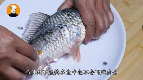 原来刮鱼鳞这么简单，一个塑料袋，鱼鳞不飞溅，刮得又快又干净