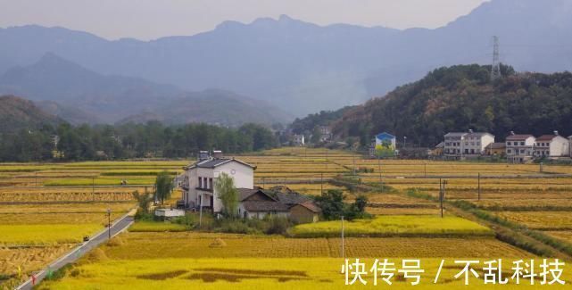 权利人|农村不动产权证陆续下发，这些内容必须看清，否则吃亏的是自己