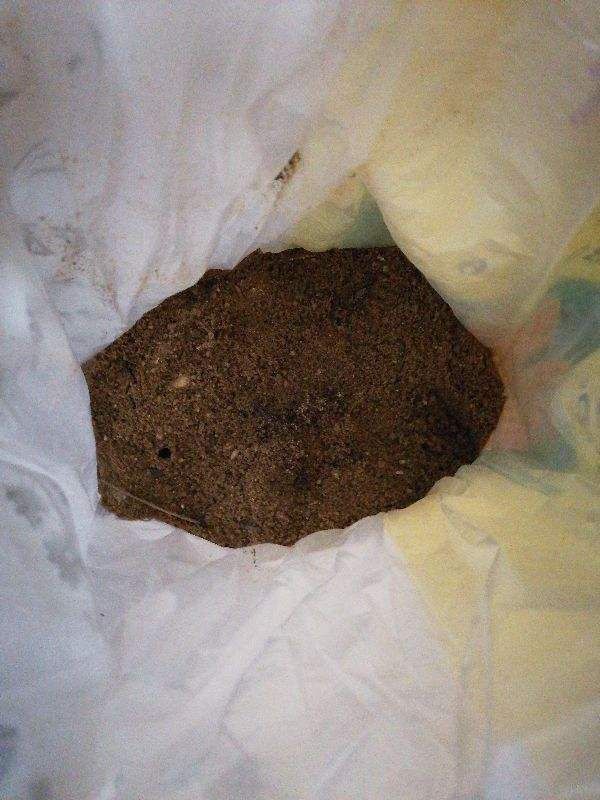 花花|换盆后的旧土别扔,掺上4种东西,土肥得“流油”