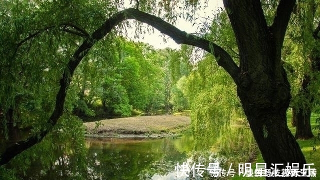 使至塞上#王维最感人的一首诗,句句都是千古名言,感动了历代无数的读者