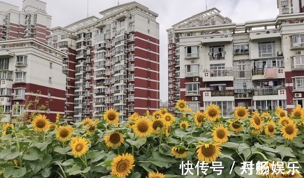 购房者|同一栋房子为何西户被“抢空”,东户却没人买建筑家给出答案