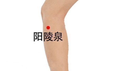 祛寒止痛|膝盖,人体中转站只需2招,祛寒止痛、引血下行,激活全身气血