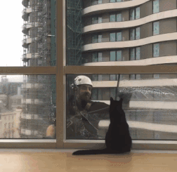 |搞笑GIF:今天和女朋友出门忘记带药怎么办