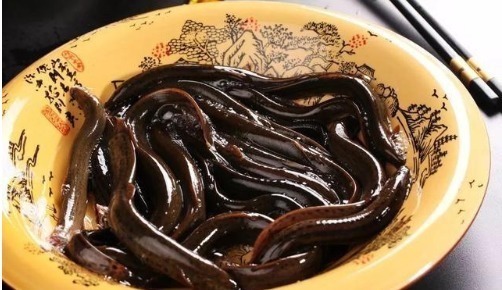 最好吃的鱼,营养是甲鱼8倍,16块钱一斤,比肉便宜无人买