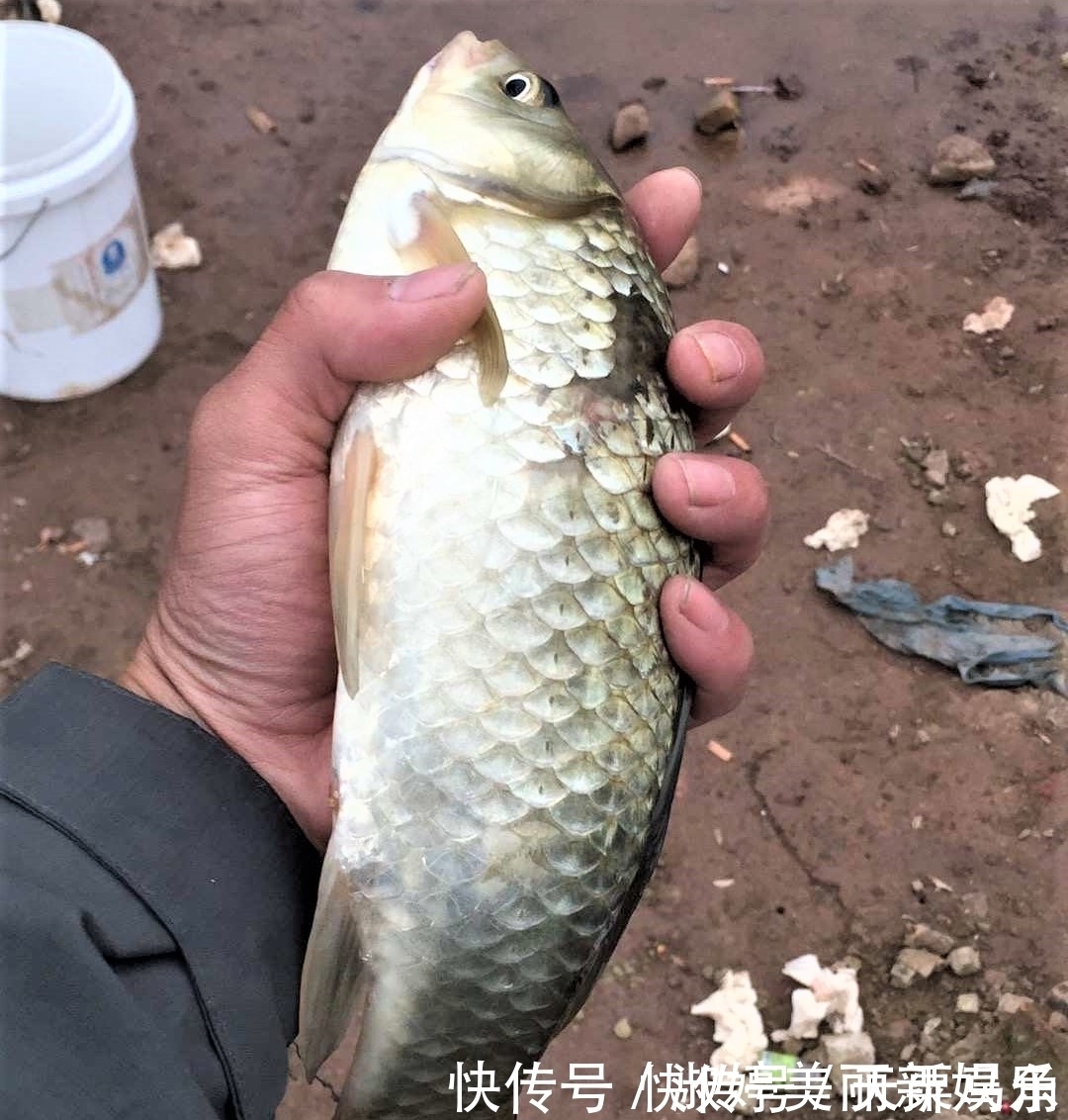 详细解读调四钓二,通过分析,才知道有些场景根本不适合调四钓二