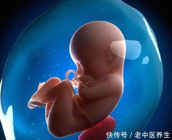 宝宝在妈妈肚子里的时候,便便都去了哪里妈妈知道了别嫌弃!