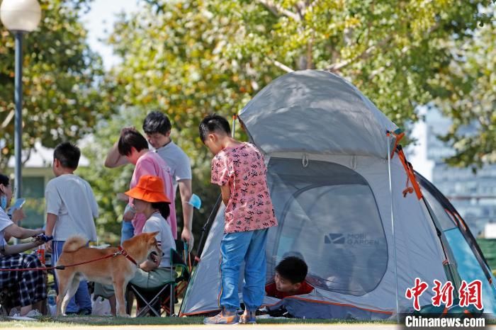 徐汇|上海：民众在黄浦江边搭帐篷 享受假期好时光