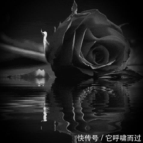 浪漫|拒绝撞香!这些小众香水让你高级又浪漫