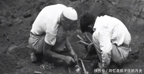 骸骨|情侣死前深情拥吻，这一吻持续了2800年，使无数爱好者着迷