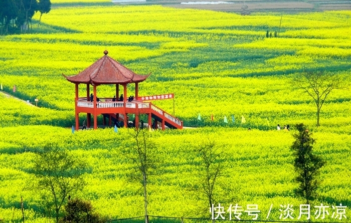 福气|9月17日开始到10月末，四生肖迎来好运，福气满满，大吉大利