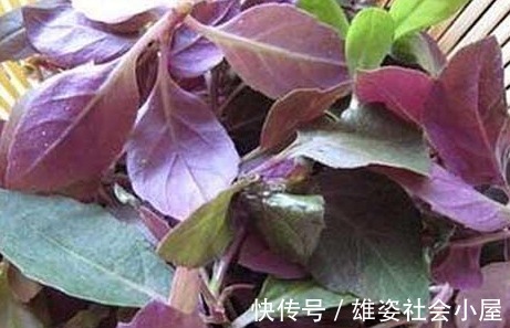 专家|肝不好的人是大蒜吃多了?专家:想养肝的人,2种食物尽量少吃!