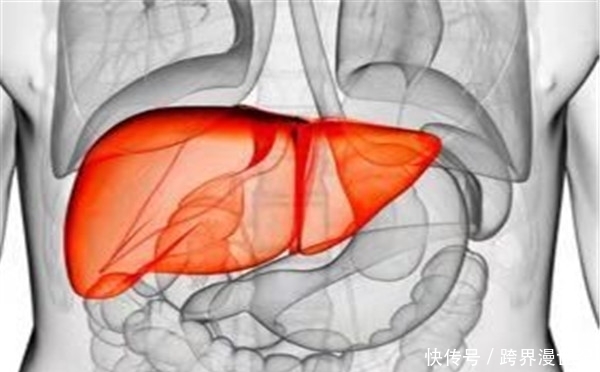 现了问题|养肝就是养命,肝不好会有4点表现,如果没有说明肝是健康的