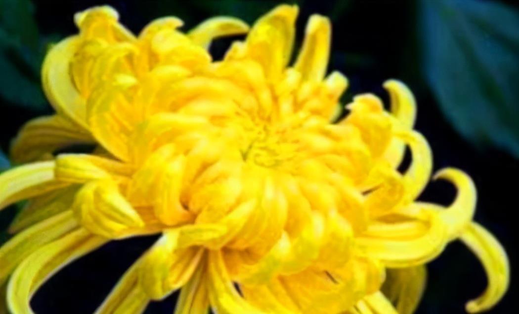 甜菜|养肝就是保命,吃3种食物,养肝护肝,肝脏“舒服”,身体才健康