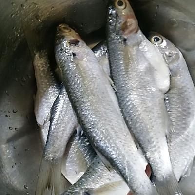 一上桌就被哄抢，这道香煎小鱼的诱惑我跪服