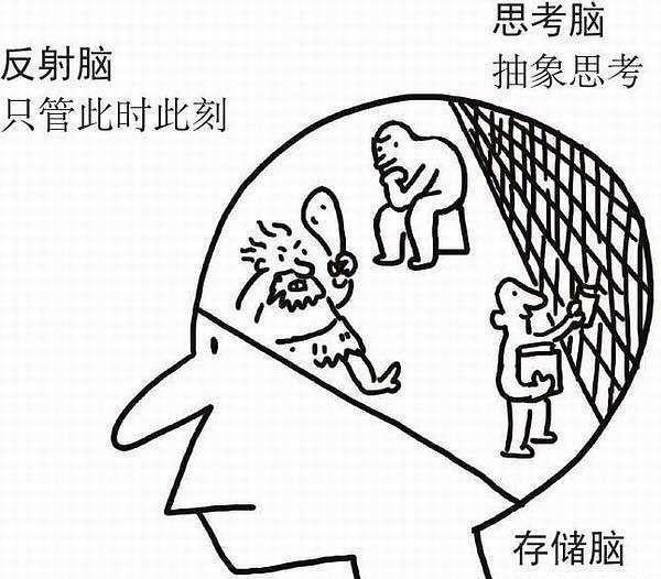 进化|教育孩子的失败,就是你用脑的失败!别再用“低级脑”育儿了