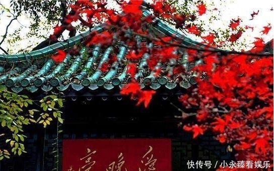 中国最良心的景区，一年亏损一个亿，却依旧不收取门票费