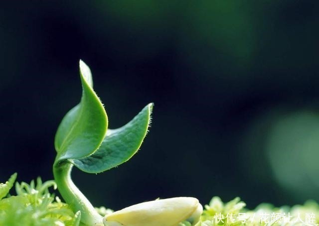 道德经|为什么说“死”是人最好的归宿《道德经》里“天人合一”的秘密
