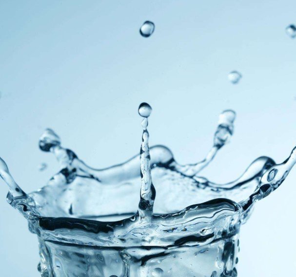 减肥路|空腹吃以下几种东西,容易变瘦,减肥路上变得轻而易举