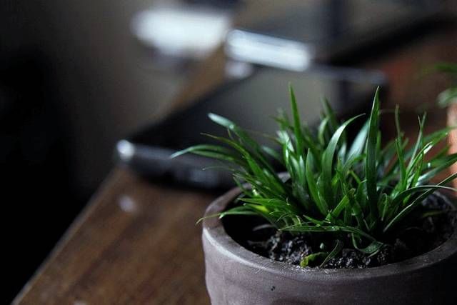 季羡林&中国人的书房，骨子里的风雅