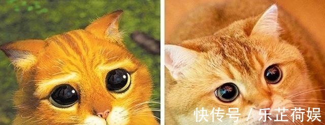 希德|爆笑动漫二次元vs现实,狮子王真人版成精了,最后一个你退群吧