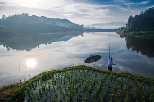 翘嘴|玉米钓鱼秘诀,再也不用看别人钓鱼表演,自己也能狂拉大鱼!