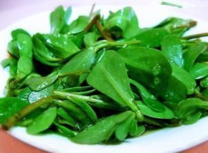 血管内皮|入秋后，不妨多吃此野菜，降血压，调节血糖，杀菌消炎，远离感冒