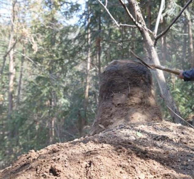 闷窑|民国时,东北老窑头制炭有个“闷窑”绝技,直到临死才传给了徒弟
